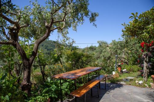 TrebianoにあるPietrantica - Affittacamere con giardino NUOVA APERTURA a Trebiano -CITRの木の横に座る木のピクニックテーブル