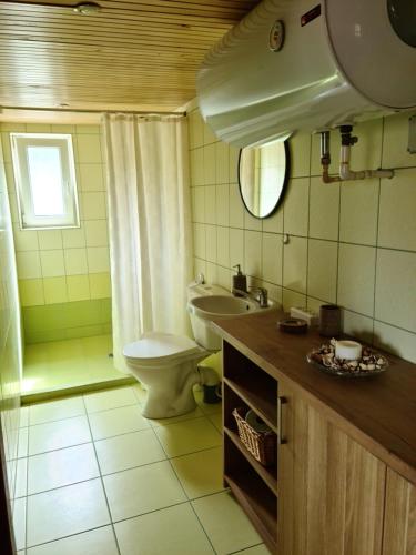 a bathroom with a toilet and a sink at Cottage - Liepų Sodyba in Joniškėlis