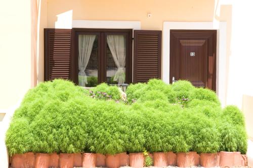 Gallery image of Berdoussis Hotel in Elafonisos
