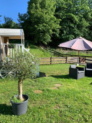 a potted tree in a yard with an umbrella at My little sweet home in Colombe