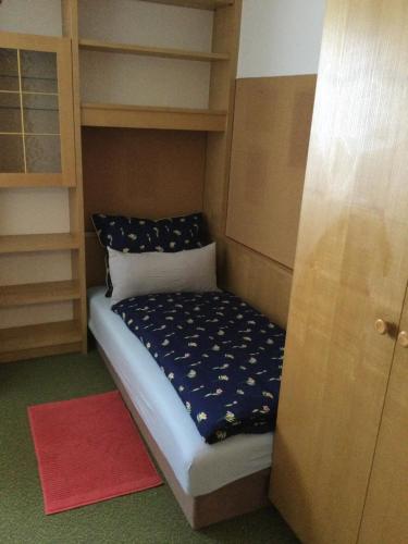 a small bed in a bunk room with a red rug at ALTSTADT-APARTMENTS Bad Radkersburg - Ihr Zuhause auf Reisen in Bad Radkersburg