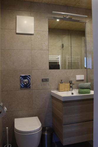 Koupelna v ubytování Apartment Seber
