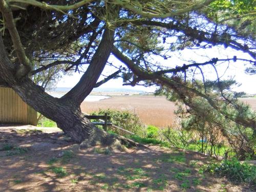a tree with a bench under it in the shade at THE HIDEAWAY - LUXURY SELF CATERING COASTAL APARTMENT with PRIVATE ENTRANCE & KEY BOX ENTRY JUST A FEW MINUTES WALK TO THE BEACH, SOLENT WAY WALK, SHOPS and many EATERIES & BARS - FREE OFF ROAD PARKING,FULL KITCHEN, LOUNGE,BEDROOM , BATHROOM & WI-FI in Lymington