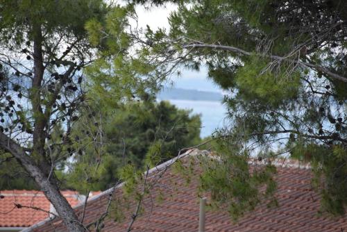Gallery image of Beachfront - Vali in Tkon
