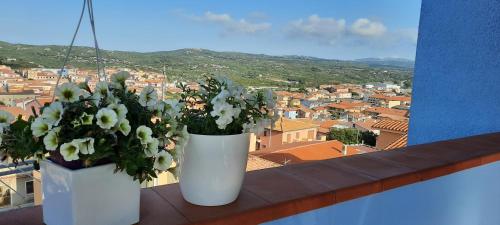 two white vases with flowers sitting on a ledge at Monte Becco panoramic rooms in Santa Teresa Gallura