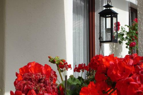 a vase filled with red flowers next to a window at Villa Lindwurm in Klagenfurt