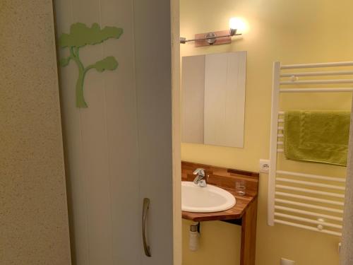 a bathroom with a sink and a mirror at Le Clos Près Chambord in Maslives