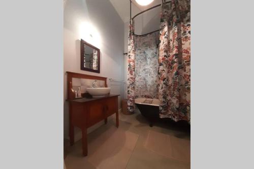 a bathroom with a sink and a shower curtain at House No1 in Nieu-Bethesda