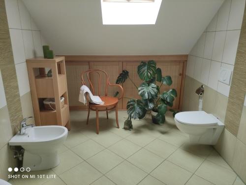 a bathroom with a sink and a toilet and a chair at Apartament Panorama in Jeżów Sudecki