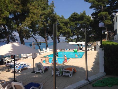 Πισίνα στο ή κοντά στο Olive Tree Apartment