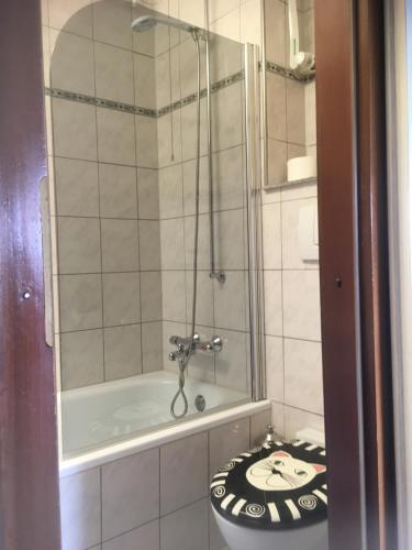布勞恩拉格的住宿－Waldhexe，带淋浴、卫生间和浴缸的浴室