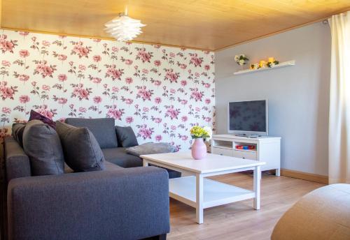 Televisyen dan/atau pusat hiburan di Ferienwohnung am Kugelbaum