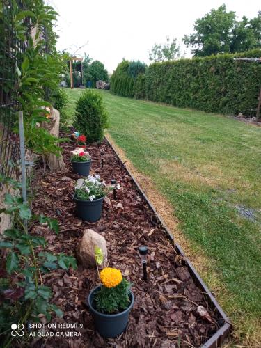 a garden with three pots of flowers in a yard at Celý rodinný dům na venkově in Kouřim