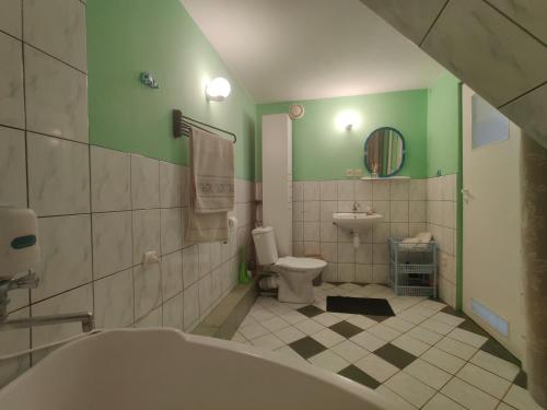 un bagno con lavandino, servizi igienici e pareti verdi di Przy Winogronie a Uherce Mineralne