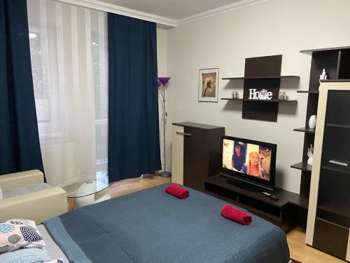 TV a/nebo společenská místnost v ubytování Melinda Apartman