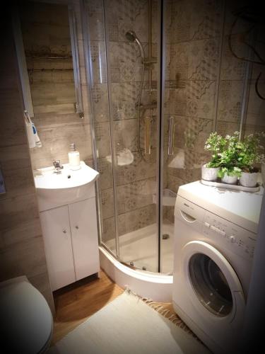 a bathroom with a shower and a washing machine at Apartament Wrzos Bieszczady in Czarna