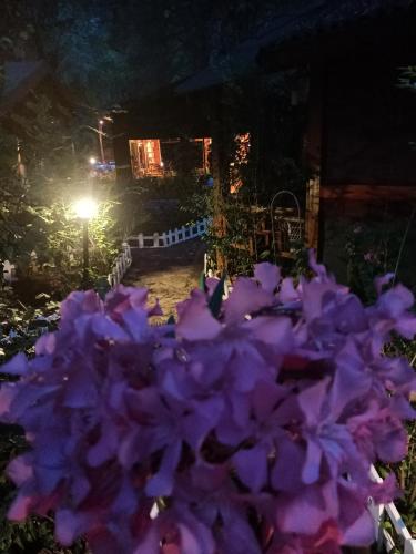a pile of purple flowers at night at Canario Bungalows in Cıralı