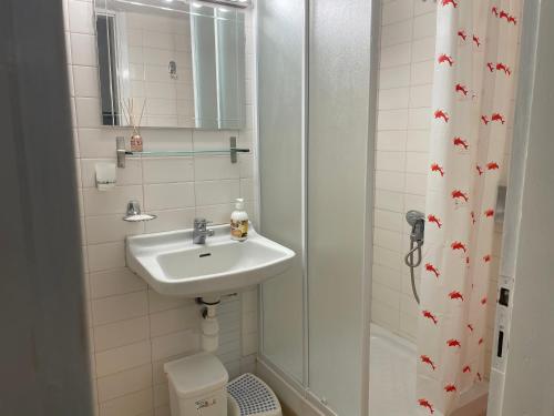 un baño con lavabo y ducha en Xellena apartment, en Kallithea Halkidikis
