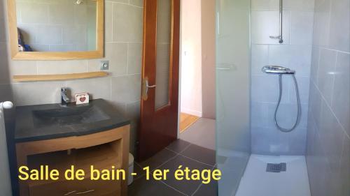 a small bathroom with a sink and a shower at Gîte de la snaille in Le Reposoir
