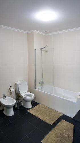 a bathroom with a toilet and a shower and a sink at São Pedro Apartment in Vila Franca do Campo