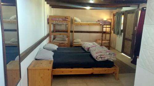 a room with several bunk beds in a room at Deep Blue Divers Hostel Dahab in Dahab