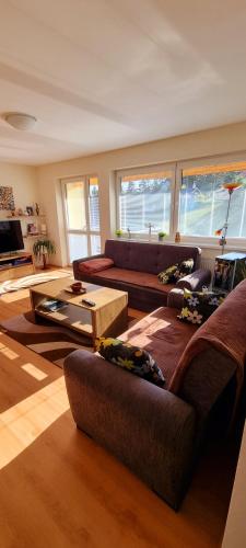 Mountain Village Apartment Pinewood ***