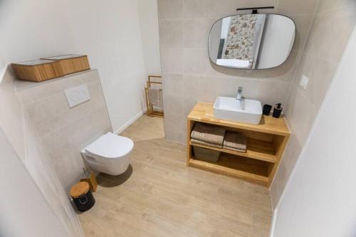 une salle de bain avec toilettes, lavabo et miroir dans l'établissement Studio l'Estrella, à Marseillan