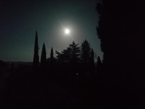 a full moon rising over a cemetery at night at Agriturismo Collomici in Celle sul Rigo