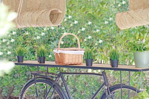 a bike with a basket and potted plants on it at Bonavida Apartments in Port d'Alcudia