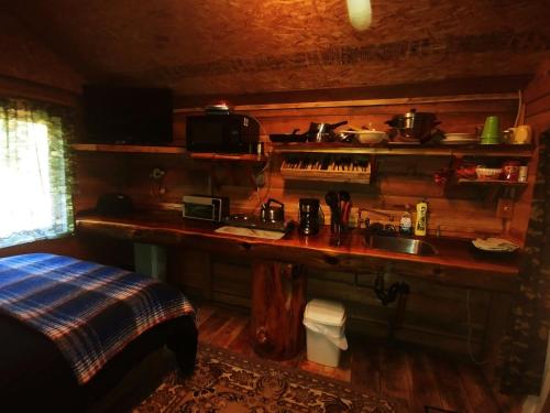 Foto sihtkohas Blue River asuva majutusasutuse Bone Creek Wilderness Retreat galeriist