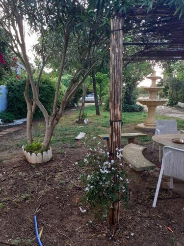 un jardín con banco, mesa y árboles en Casa Marisa, en Conil de la Frontera