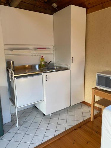 a small kitchen with a sink and a refrigerator at Lillstugan Lyckan in Kristdala