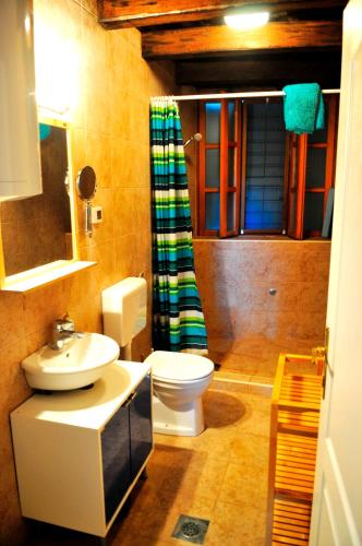 a bathroom with a toilet and a sink and a shower at Ruine-Motovun KH in Motovun