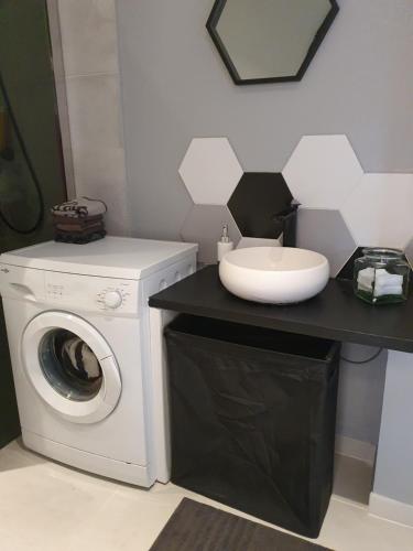 a bathroom with a washing machine and a sink at maison de madame De souter in Sequedin