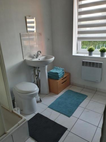 a bathroom with a sink and a toilet and a window at maison de madame De souter in Sequedin