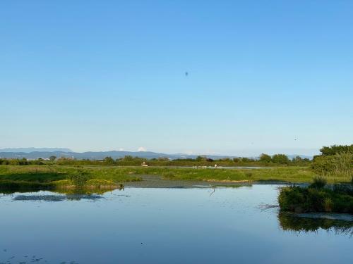 Ảnh trong thư viện ảnh của Grado Rouse city - Avanti Savoia ở Grado