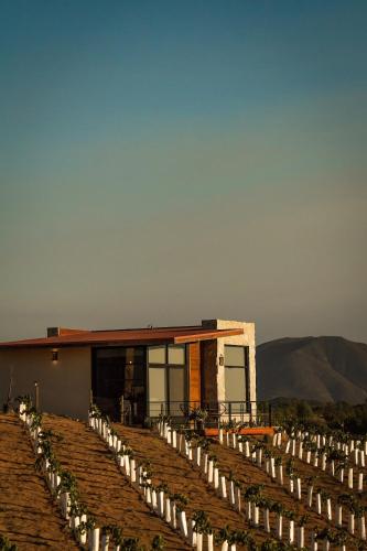 a building with a row of white candles in front of it at Brisa Del Valle Hotel Boutique in Valle de Guadalupe