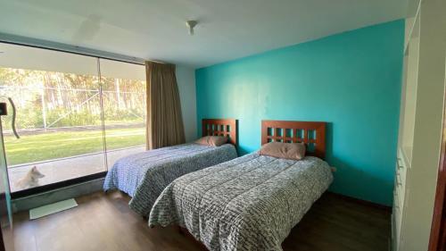 卡哈马卡Casa de Campo María Eugenia的配有两张床铺的蓝色墙壁和窗户