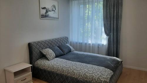 a bedroom with a couch and a window with a horse picture at Jaukūs apartamentai centre in Šiauliai