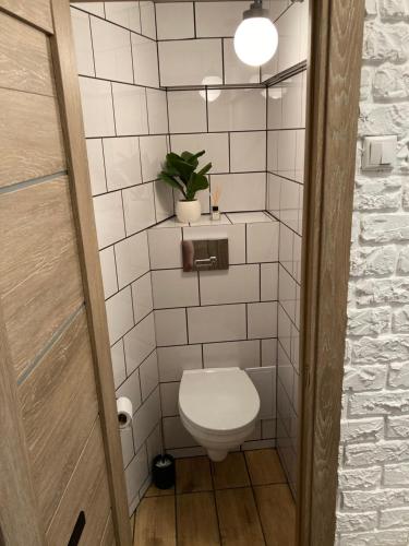 a small bathroom with a toilet and a plant at Nice to stay in Visaginas
