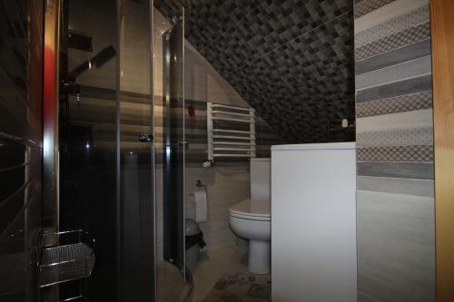 a bathroom with a toilet and a glass shower at DW U Wajdy in Białka Tatrzanska
