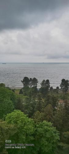 a view of a body of water with trees at Квартира у моря Колхида in Makhinjauri