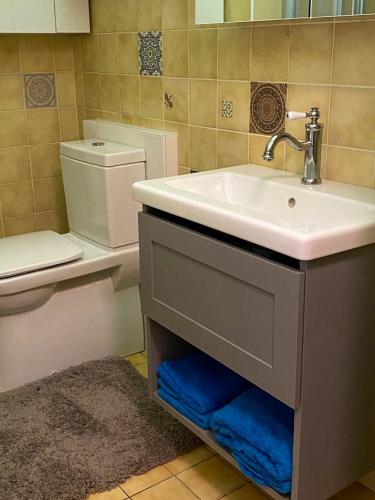a bathroom with a sink and a toilet at Kirchengasse 162 - Alte Post II in Bad Aussee