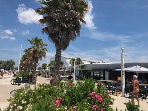 a palm tree in front of a building at Appartement naturiste PaulAna Port Ambonne 314 in Cap d'Agde