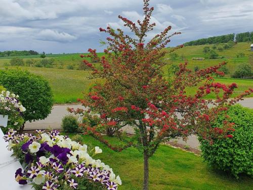 a flowering tree with red flowers in a garden at Biosphärenzimmer Bad Urach in Bad Urach