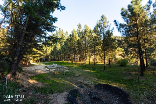 Fotografie z fotogalerie ubytování El Niu - L'Amagatall de Cal Tonedor Guest House v destinaci Vallgorguina