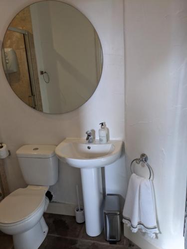 Pinfold Holiday Cottage في سكيبتون: حمام مع مرحاض ومغسلة ومرآة