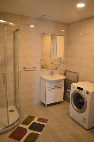 a bathroom with a washing machine and a sink at Small wooden houses and Apartments Zgornja Dobrava in Radovljica