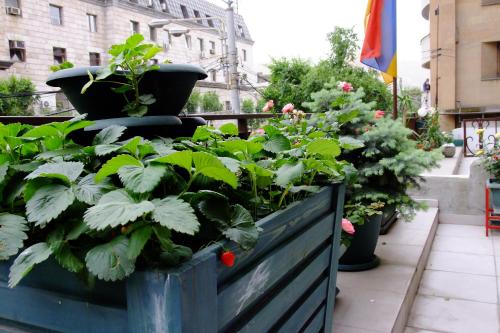  Yerevan center apartment 5A -  Room  picture :   Tea/Coffee maker    Minibar    Shower                           