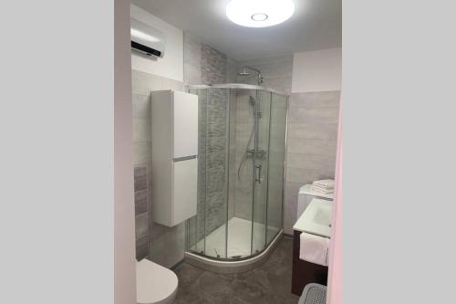 a bathroom with a shower and a toilet at COSY LIVING in Huningue